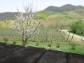 Sabato 29.03 (10) (Copy)