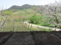 Sabato 29.03 (11) (Copy)