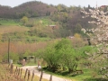 Sabato 29.03 (12) (Copy)