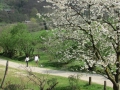Sabato 29.03 (13) (Copy)