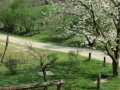 Sabato 29.03 (14) (Copy)