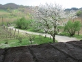 Sabato 29.03 (9) (Copy)